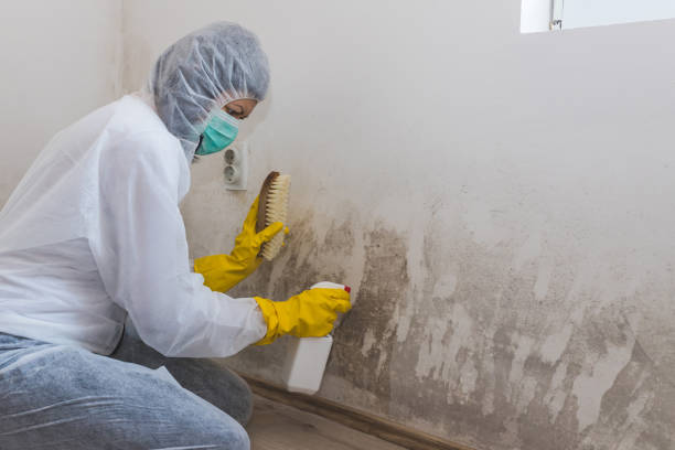 Best Residential Mold Removal  in Portland, TX