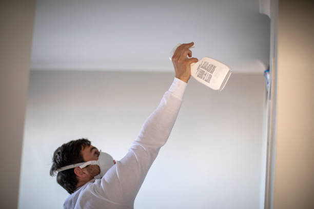 Best Water Damage Restoration  in Portland, TX