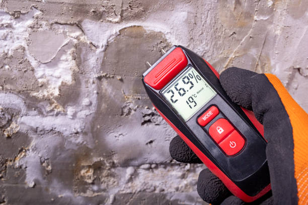 Best Mold Testing and Removal  in Portland, TX