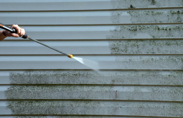 Best Toxic Mold Removal  in Portland, TX