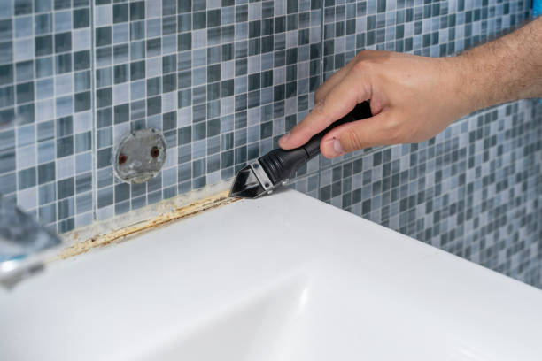 Best Mold Cleaning Services  in Portland, TX