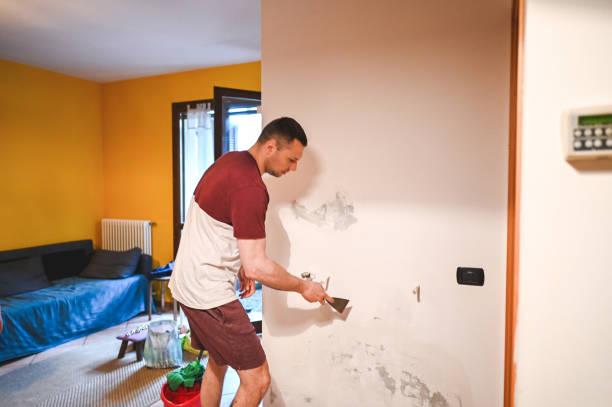 Mold Testing and Removal in Portland, TX