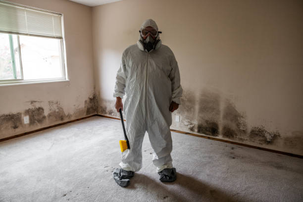 Best Mold Remediation  in Portland, TX