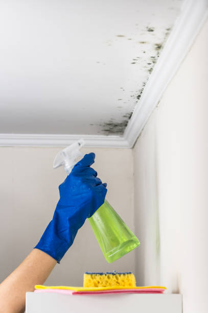 Best Mold Cleaning Services  in Portland, TX